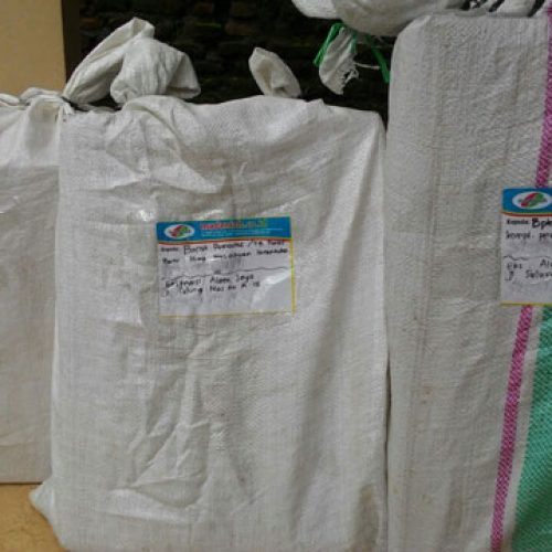 Toko Alat Peraga Edukasi Flores Timur