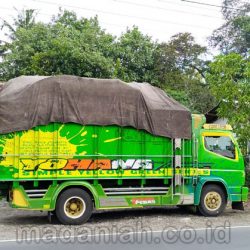 Toko Mainan Outdoor Luar Ruangan Kalimantan Tengah Toko Mainan Outdoor Luar Ruangan Kalimantan Tengah