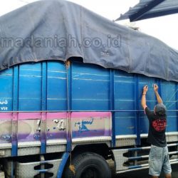 Toko Mainan Outdoor Luar Ruangan Papua Toko Mainan Outdoor Luar Ruangan Papua