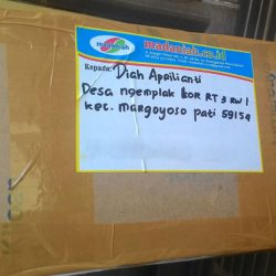Toko Alat Peraga Edukasi Pati Jawa Tengah Toko Alat Peraga Edukasi Pati Jawa Tengah