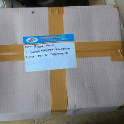 Toko Alat Peraga Edukasi Balen Bojonegoro