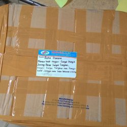 Toko Alat Peraga Edukasi Solok Selatan Toko Alat Peraga Edukasi Solok Selatan