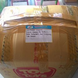 Toko Alat Peraga Edukasi Kangkung Kendal Toko Alat Peraga Edukasi Kangkung Kendal