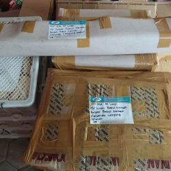 Toko Alat Peraga Edukasi Kalianda Lampung Selatan