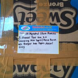 Toko Alat Peraga Edukasi Tapin Kalimantan Selatan Toko Alat Peraga Edukasi Tapin Kalimantan Selatan