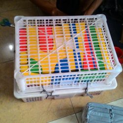 Toko Alat Peraga Edukasi Padang Toko Alat Peraga Edukasi Padang