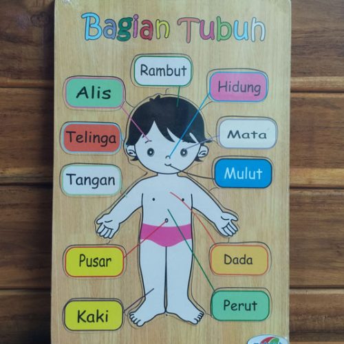 Alat Peraga Edukasi Puzzle Anatomi Tubuh