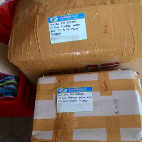Toko Alat Peraga Edukasi Medan Sunggal Toko Alat Peraga Edukasi Medan Sunggal