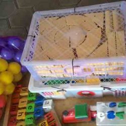 Toko Alat Peraga Edukasi Medan Sunggal Toko Alat Peraga Edukasi Medan Sunggal