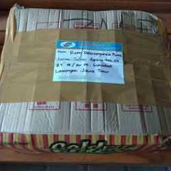 Toko Alat Peraga Edukasi Lamongan Jawa Timur Toko Alat Peraga Edukasi Lamongan Jawa Timur