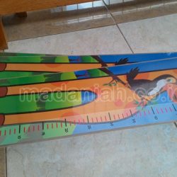 Alat Peraga Edukatif Kognitif