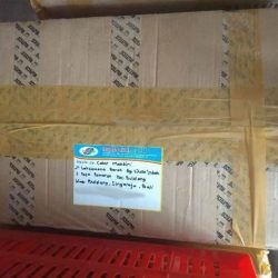 Produsen Alat Peraga Edukasi Bali