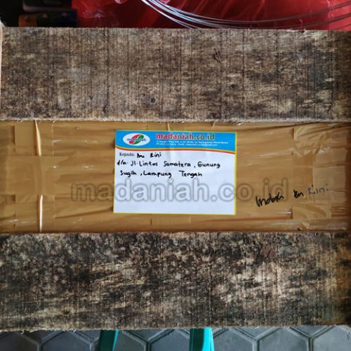 Toko Alat Peraga Edukasi Lampung Tengah