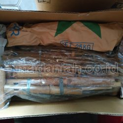 Toko Alat Peraga Edukasi Lampung Tengah