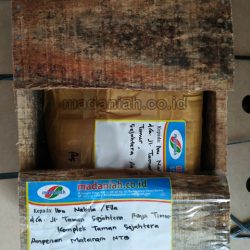 Toko Alat Peraga Edukasi Mataram Nusa Tenggara Barat
