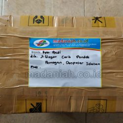 Toko Alat Peraga Edukasi Pemogan Denpasar Toko Alat Peraga Edukasi Pemogan Denpasar