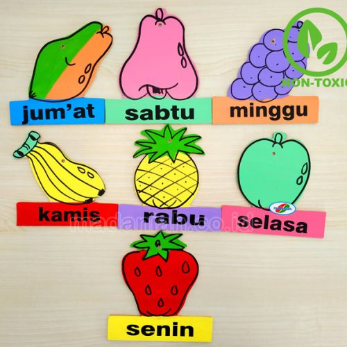 Distributor Alat Peraga Edukatif Buah Hari Kalimantan Tengah