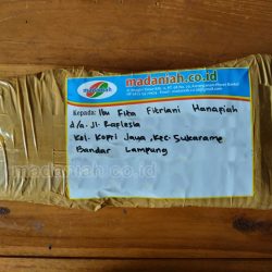 Toko Alat Peraga Edukasi Korpri Jaya Bandar Lampung Toko Alat Peraga Edukasi Korpri Jaya Bandar Lampung