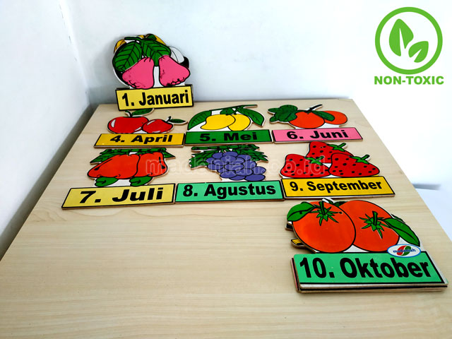 Distributor Alat Peraga Edukatif Buah Bulan Aceh