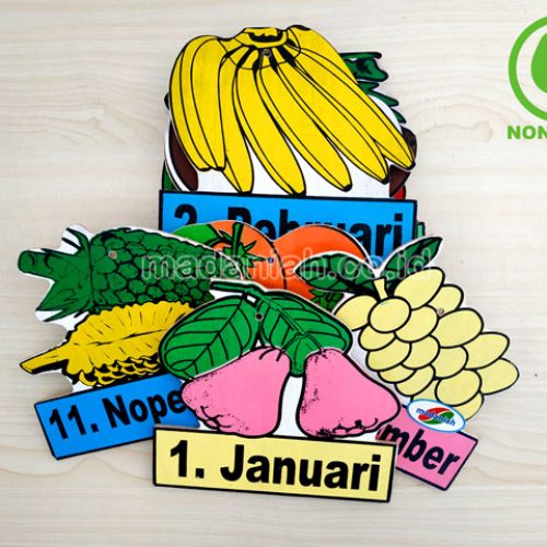 Distributor Alat Peraga Edukatif Buah Bulan Kalimantan Tengah