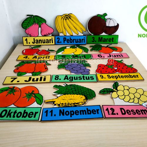 Distributor Alat Peraga Edukatif Buah Bulan Papua