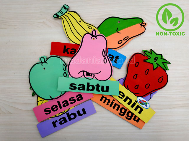 Distributor Alat Peraga Edukatif Buah Hari Kalimantan Barat