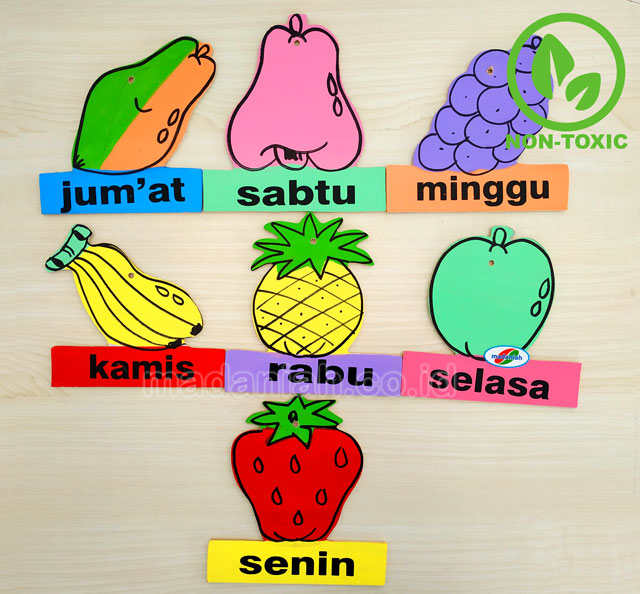 Distributor Alat Peraga Edukatif Buah Hari Yogyakarta