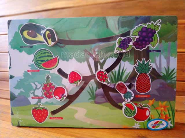 Distributor Alat Peraga Edukatif Maze Buah Riau