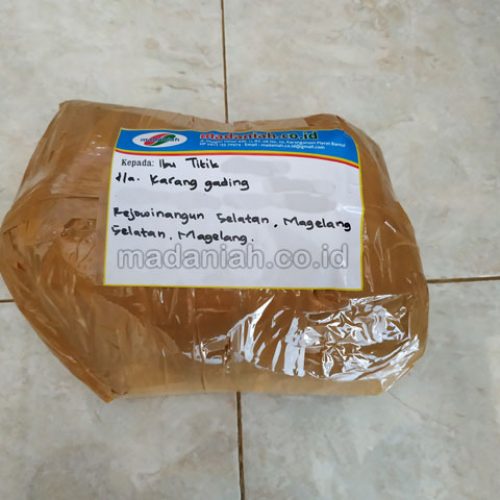 Toko Alat Peraga Edukatif Magelang Jawa Tengah Toko Alat Peraga Edukatif Magelang Jawa Tengah