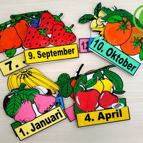Distributor Alat Peraga Edukatif Buah Bulan Gorontalo