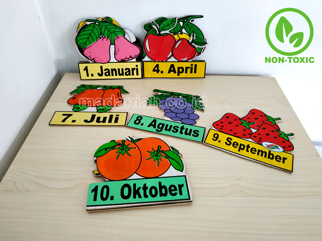 Distributor Alat Peraga Edukatif Buah Bulan Jawa Timur