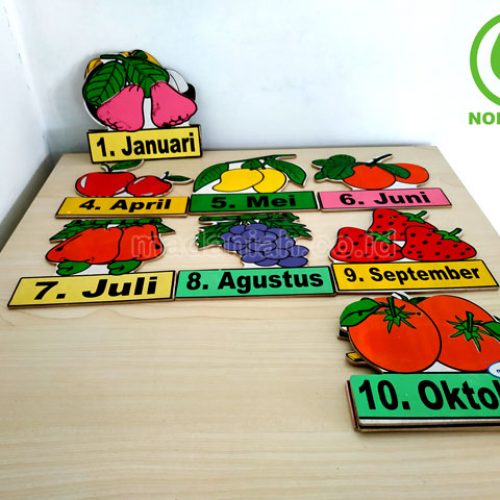Distributor Alat Peraga Edukatif Buah Bulan Kalimantan Timur
