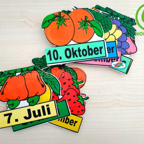 Distributor Alat Peraga Edukatif Buah Bulan Maluku Utara