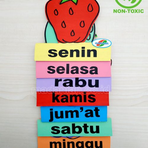 Distributor Alat Peraga Edukatif Buah Hari Kalimantan Timur Distributor Alat Peraga Edukatif Buah Hari Kalimantan Timur
