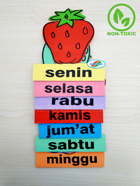 Distributor Alat Peraga Edukatif Buah Hari Kalimantan Timur