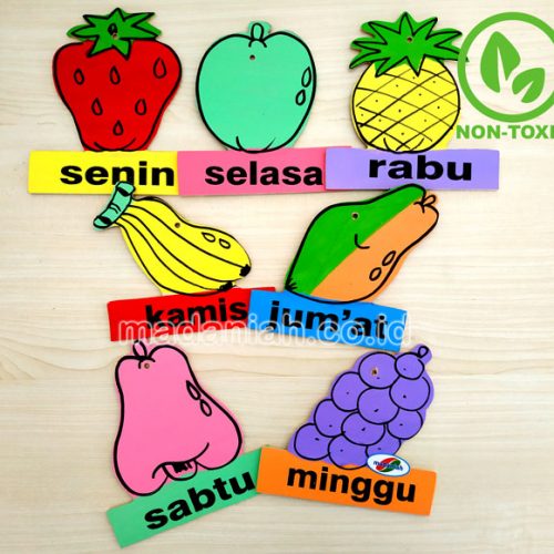 Distributor Alat Peraga Edukatif Buah Hari Sulawesi Selatan