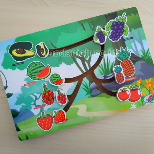 Distributor Alat Peraga Edukatif Maze Buah Kalimantan Barat