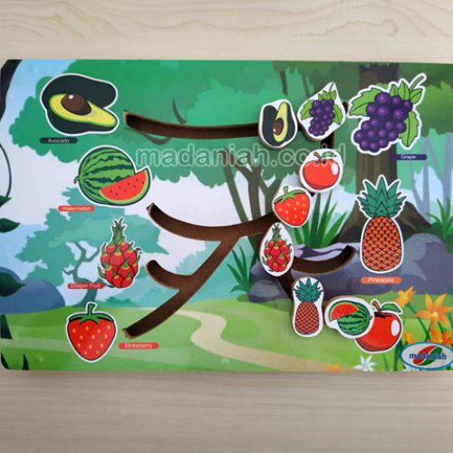 Distributor Alat Peraga Edukatif Maze Buah Maluku