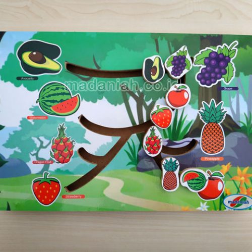 Distributor Alat Peraga Edukatif Maze Buah Banten