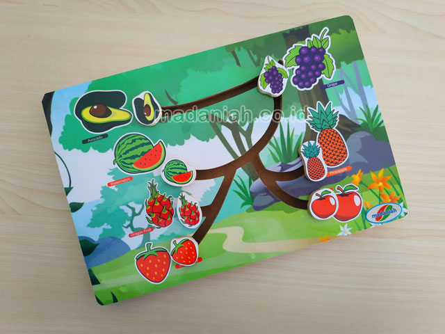 Distributor Alat Peraga Edukatif Maze Buah Kalimantan Selatan