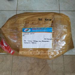 Toko Alat Peraga Edukatif Talang Kelapa Sumatera Selatan Toko Alat Peraga Edukatif Talang Kelapa Sumatera Selatan