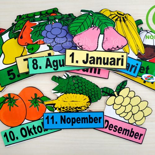 Distributor Alat Peraga Edukatif Buah Bulan Banten