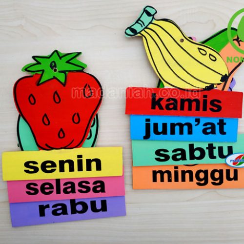 Distributor Alat Peraga Edukatif Buah Hari Kepulauan Bangka Belitung