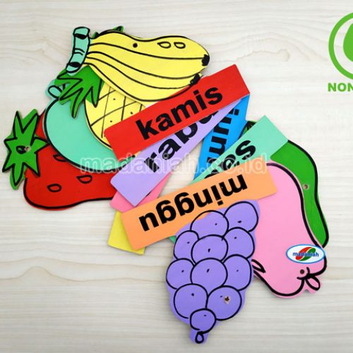 Distributor Alat Peraga Edukatif Buah Hari Papua Barat