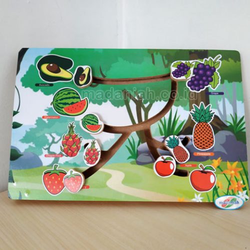 Distributor Alat Peraga Edukatif Maze Buah Aceh