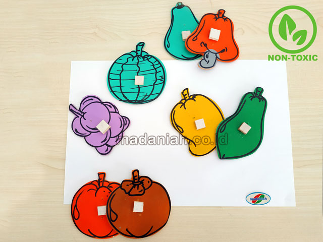 Distributor Alat Peraga Edukatif Patrun Menjiplak Buah Jambi