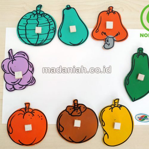 Distributor Alat Peraga Edukatif Patrun Menjiplak Buah