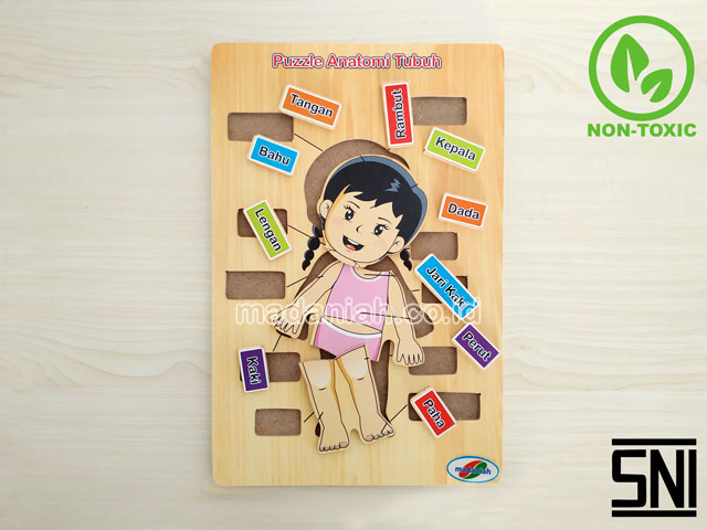 Distributor Alat Peraga Edukatif Puzzle Anatomi Tubuh Gorontalo