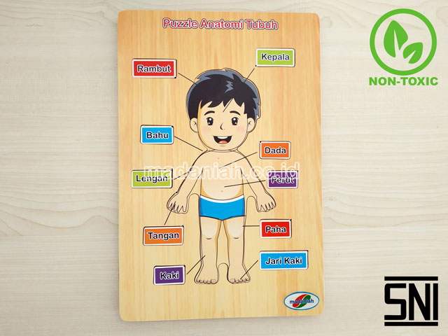 Distributor Alat Peraga Edukatif Puzzle Anatomi Tubuh Gorontalo