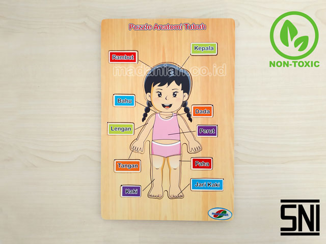 Distributor Alat Peraga Edukatif Puzzle Anatomi Tubuh Kalimantan Selatan